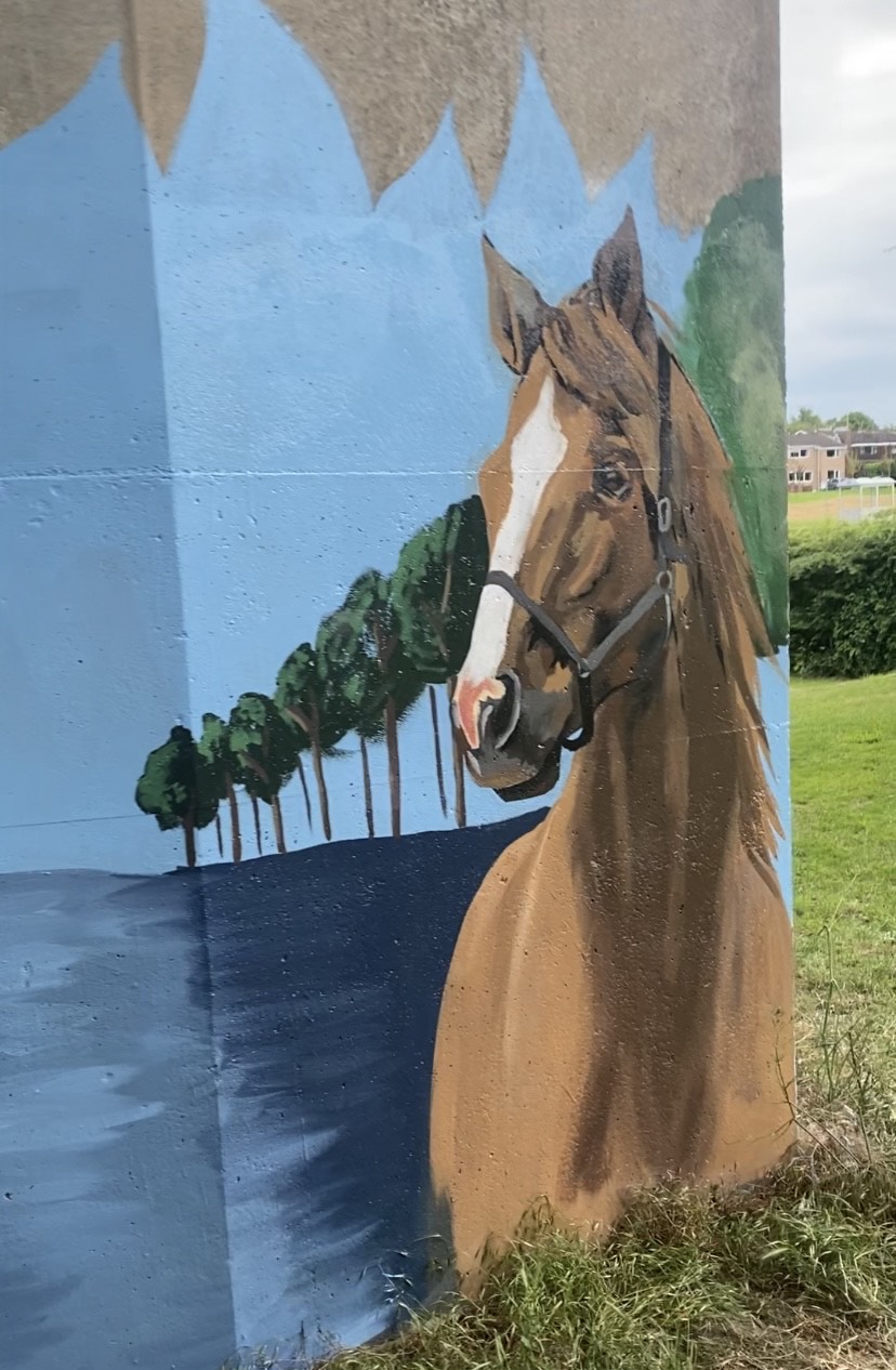 Dronfield Flyover Mural